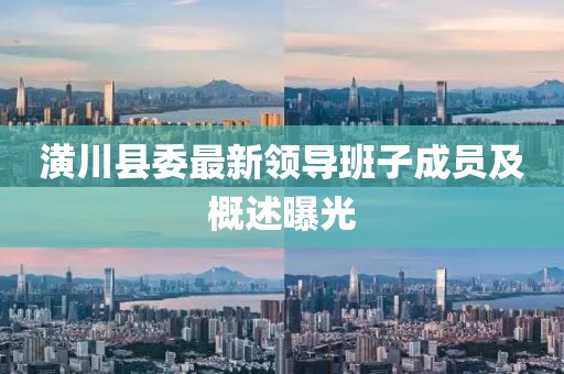 潢川县委最新领导班子成员及概述曝光