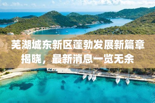 芜湖城东新区蓬勃发展新篇章揭晓，最新消息一览无余