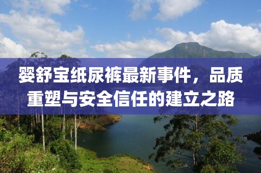 婴舒宝纸尿裤最新事件，品质重塑与安全信任的建立之路