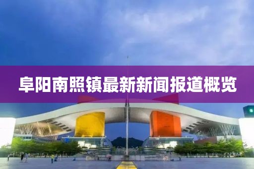 阜阳南照镇最新新闻报道概览