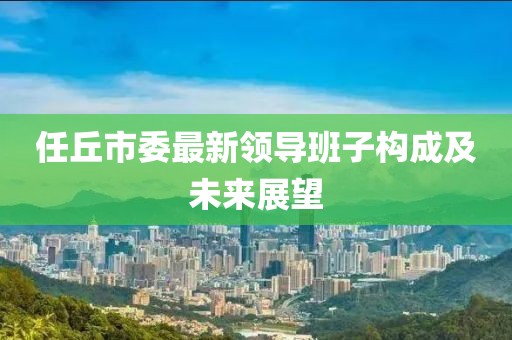 任丘市委最新领导班子构成及未来展望