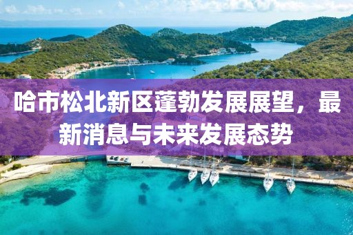 哈市松北新区蓬勃发展展望，最新消息与未来发展态势