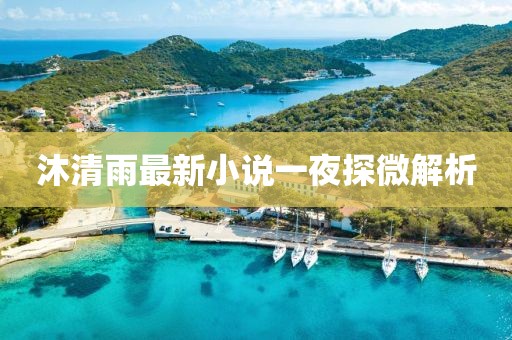 沐清雨最新小说一夜探微解析