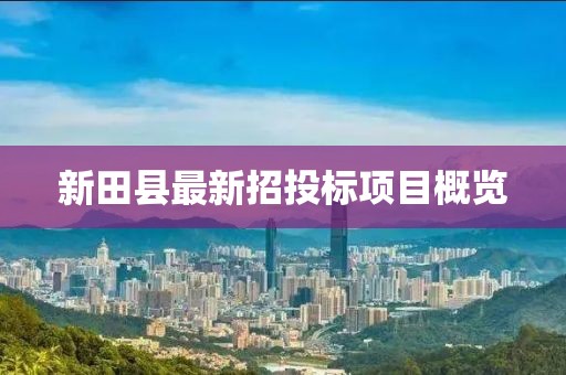 新田县最新招投标项目概览