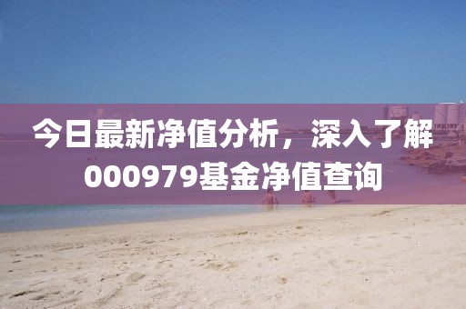 今日最新净值分析，深入了解000979基金净值查询