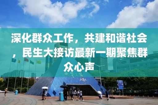 深化群众工作，共建和谐社会，民生大接访最新一期聚焦群众心声