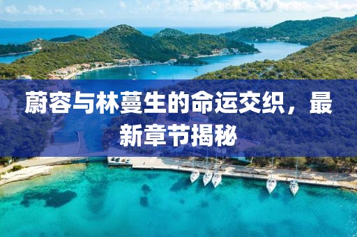 魅影风随 第14页