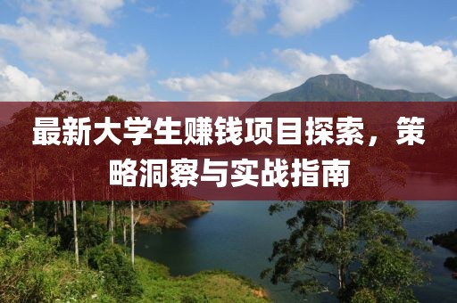 最新大学生赚钱项目探索，策略洞察与实战指南