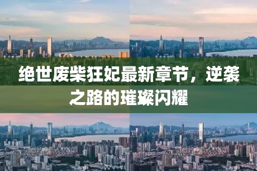 忘你需用命 第13页