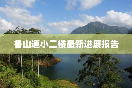 鲁山道小二楼最新进展报告