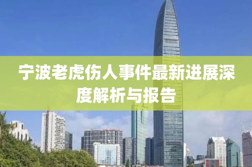 宁波老虎伤人事件最新进展深度解析与报告