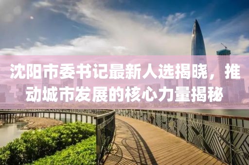 沈阳市委书记最新人选揭晓，推动城市发展的核心力量揭秘