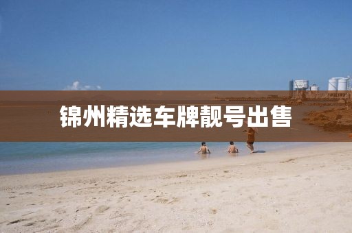 锦州精选车牌靓号出售