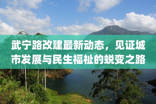 武宁路改建最新动态，见证城市发展与民生福祉的蜕变之路