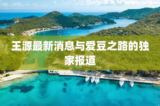 魅影风随 第11页