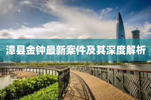 漳县金钟最新案件及其深度解析