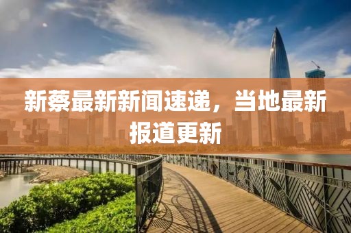 新蔡最新新闻速递，当地最新报道更新