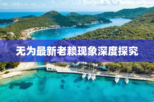 无为最新老赖现象深度探究