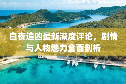 白夜追凶最新深度评论，剧情与人物魅力全面剖析