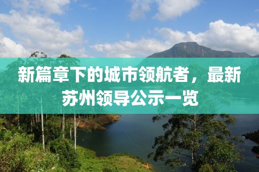 新篇章下的城市领航者，最新苏州领导公示一览