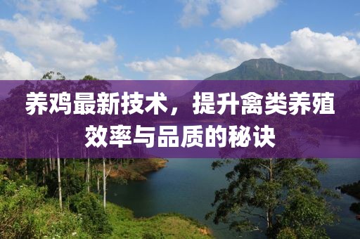 养鸡最新技术，提升禽类养殖效率与品质的秘诀