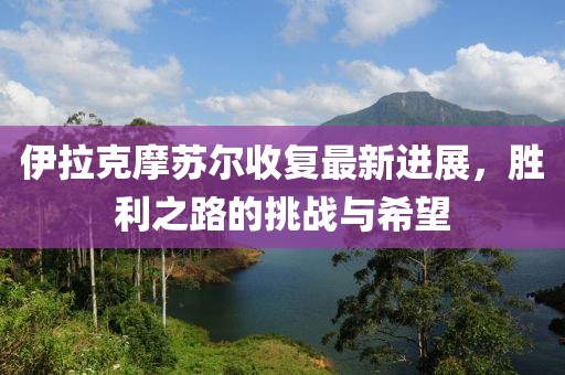 伊拉克摩苏尔收复最新进展，胜利之路的挑战与希望