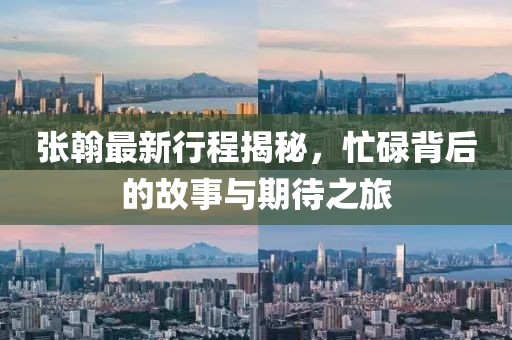 张翰最新行程揭秘，忙碌背后的故事与期待之旅