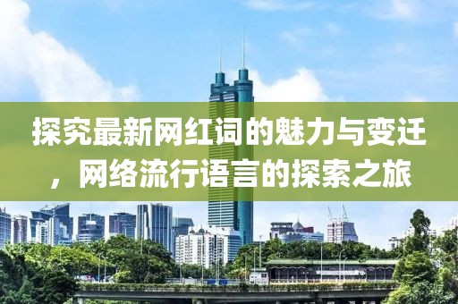 探究最新网红词的魅力与变迁，网络流行语言的探索之旅