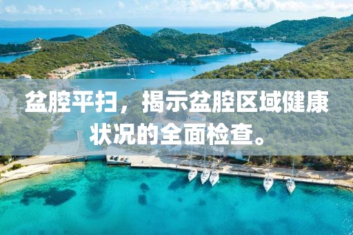 盆腔平扫，揭示盆腔区域健康状况的全面检查。