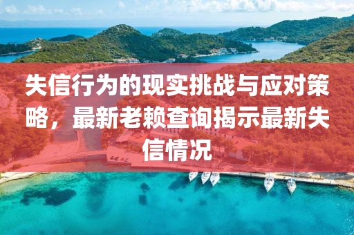 失信行为的现实挑战与应对策略，最新老赖查询揭示最新失信情况