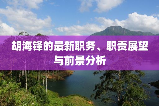 胡海锋的最新职务、职责展望与前景分析