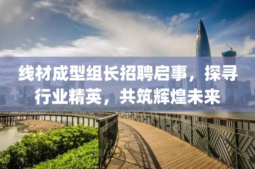 线材成型组长招聘启事，探寻行业精英，共筑辉煌未来