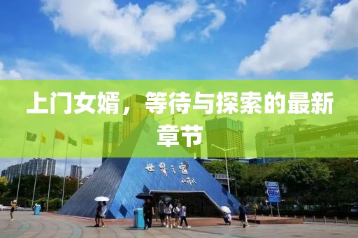 上门女婿，等待与探索的最新章节