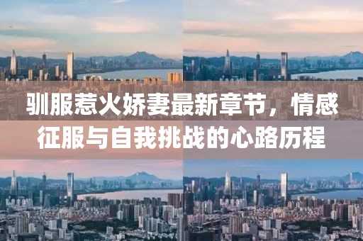 驯服惹火娇妻最新章节，情感征服与自我挑战的心路历程