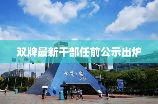 北城半夏 第5页