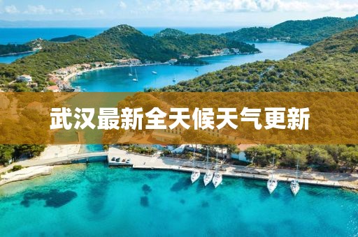 武汉最新全天候天气更新