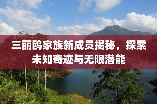 三丽鸥家族新成员揭秘，探索未知奇迹与无限潜能