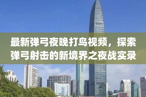 最新弹弓夜晚打鸟视频，探索弹弓射击的新境界之夜战实录