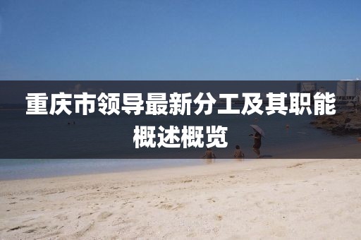 重庆市领导最新分工及其职能概述概览