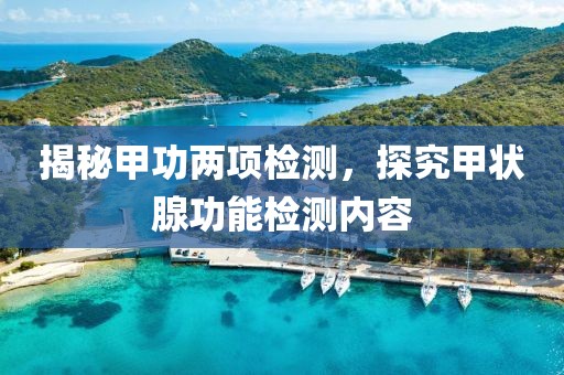 揭秘甲功两项检测，探究甲状腺功能检测内容