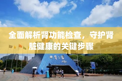 全面解析肾功能检查，守护肾脏健康的关键步骤
