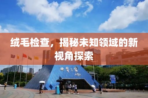 绒毛检查，揭秘未知领域的新视角探索