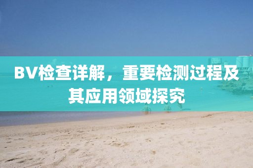 BV检查详解，重要检测过程及其应用领域探究