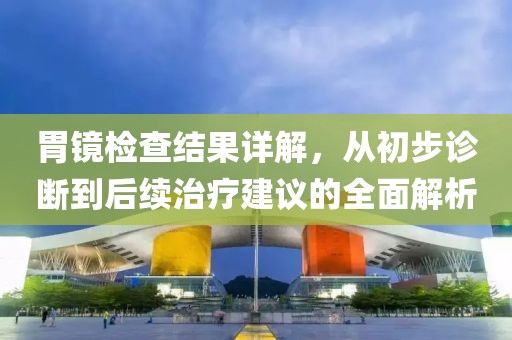 胃镜检查结果详解，从初步诊断到后续治疗建议的全面解析