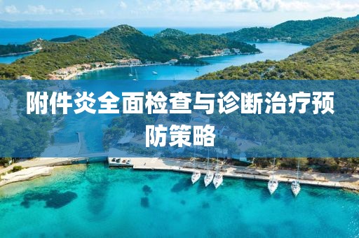 附件炎全面检查与诊断治疗预防策略