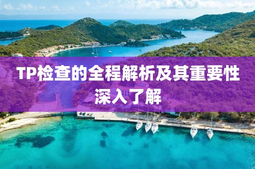 TP检查的全程解析及其重要性深入了解