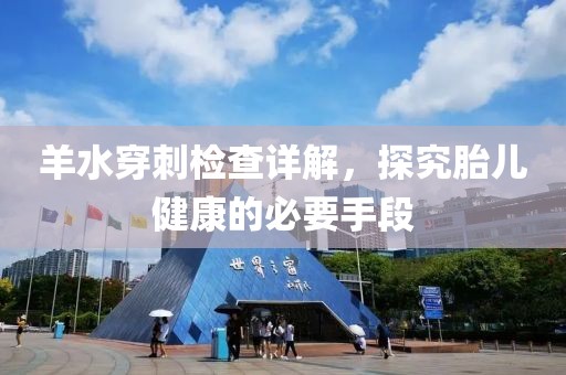 羊水穿刺检查详解，探究胎儿健康的必要手段