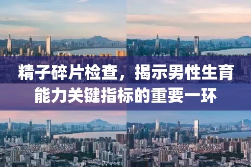精子碎片检查，揭示男性生育能力关键指标的重要一环
