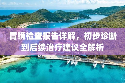 胃镜检查报告详解，初步诊断到后续治疗建议全解析