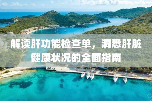 解读肝功能检查单，洞悉肝脏健康状况的全面指南